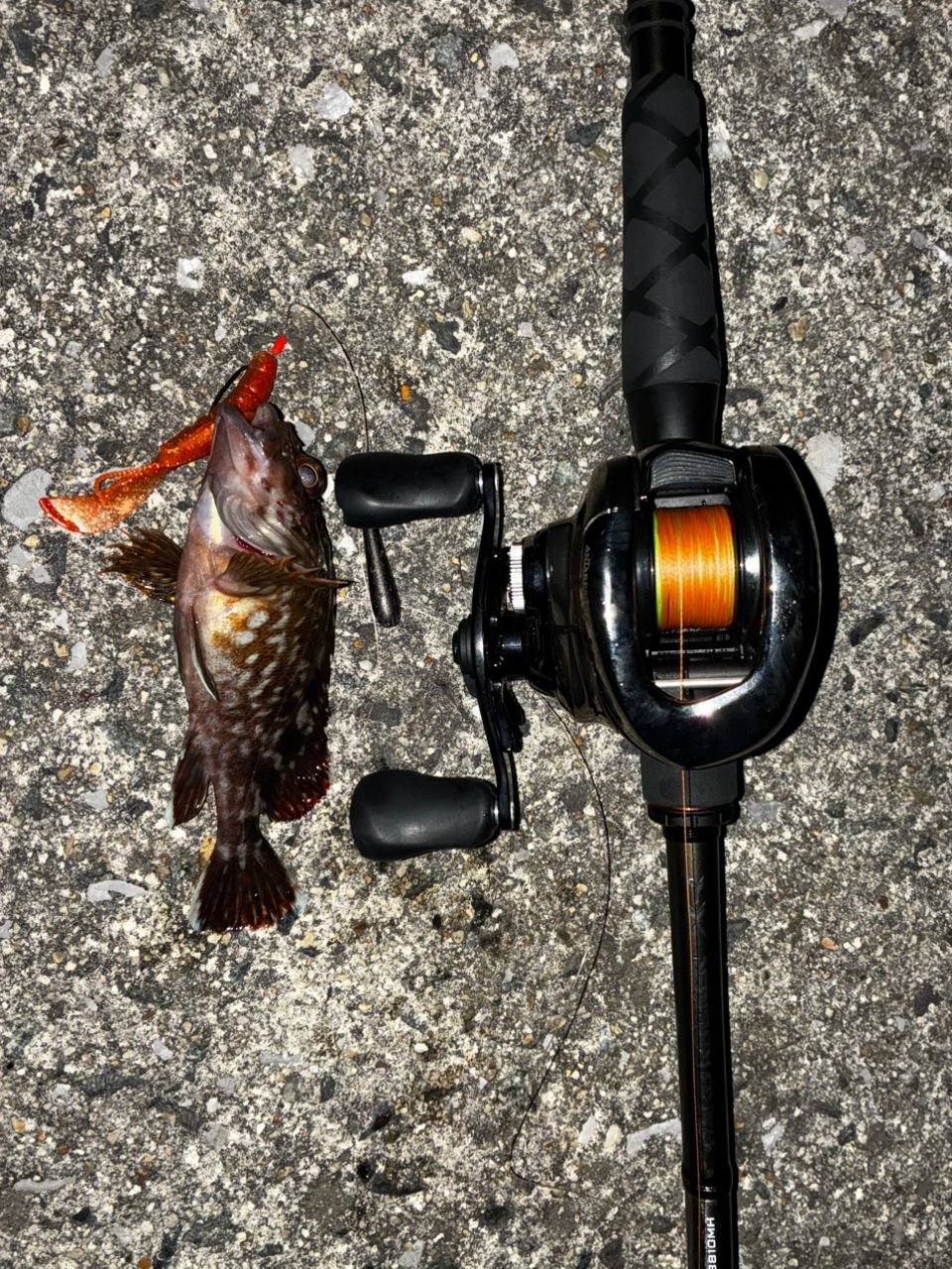 SHIMANO 20ハードロッカー XR B810MHの最安値・インプレ・釣果 | 本音