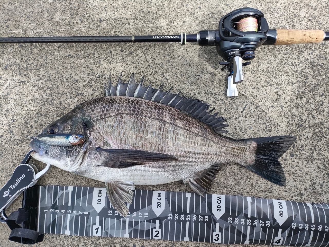SHIMANO 19ブレニアス B74ML-Sの最安値・インプレ・釣果 | 本音の