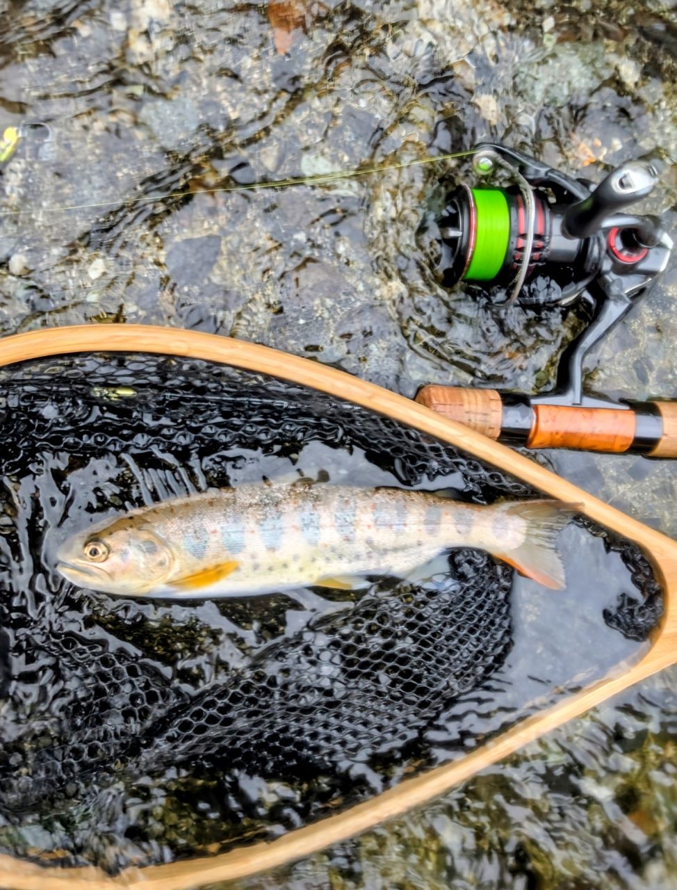 DAIWA 22ワイズストリーム 46TULの最安値・インプレ・釣果 | 本音の