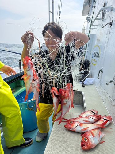 キンメダイの釣果
