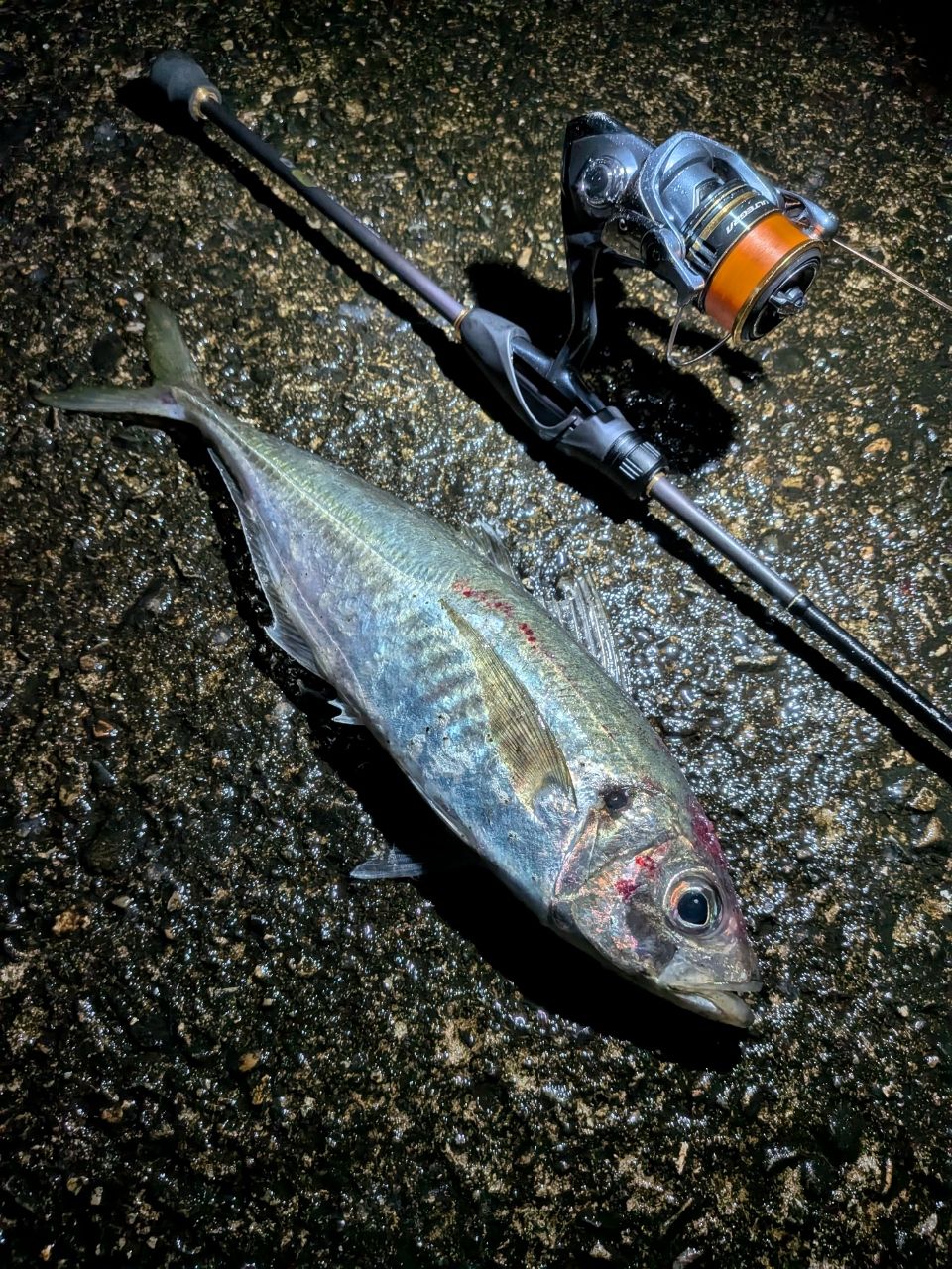 SHIMANO 22ソアレ SS アジング S70UL-Sの最安値・インプレ・釣果