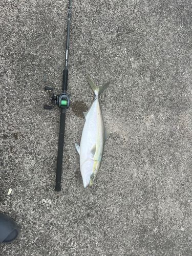 釣果