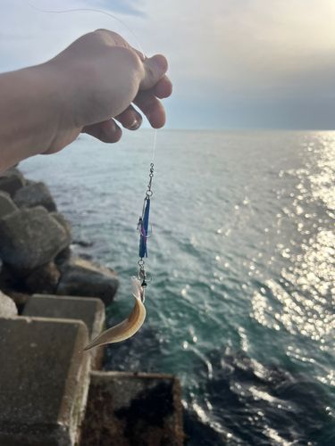 釣果