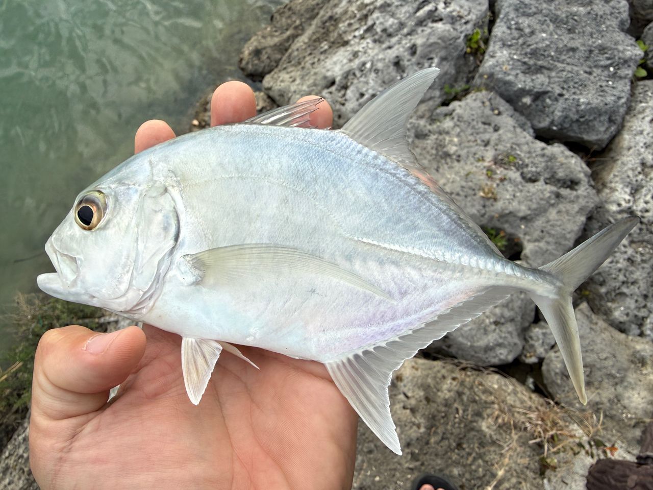 SHIMANO 21ソアレXR S610L-Sの最安値・インプレ・釣果 | 本音の口コミ