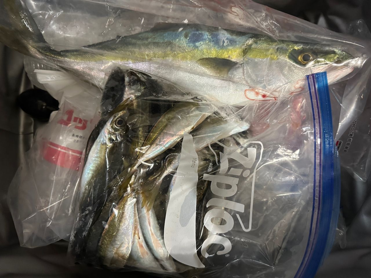 DAIWA 22ルアーニスト モバイル 86ML-4の最安値・インプレ・釣果