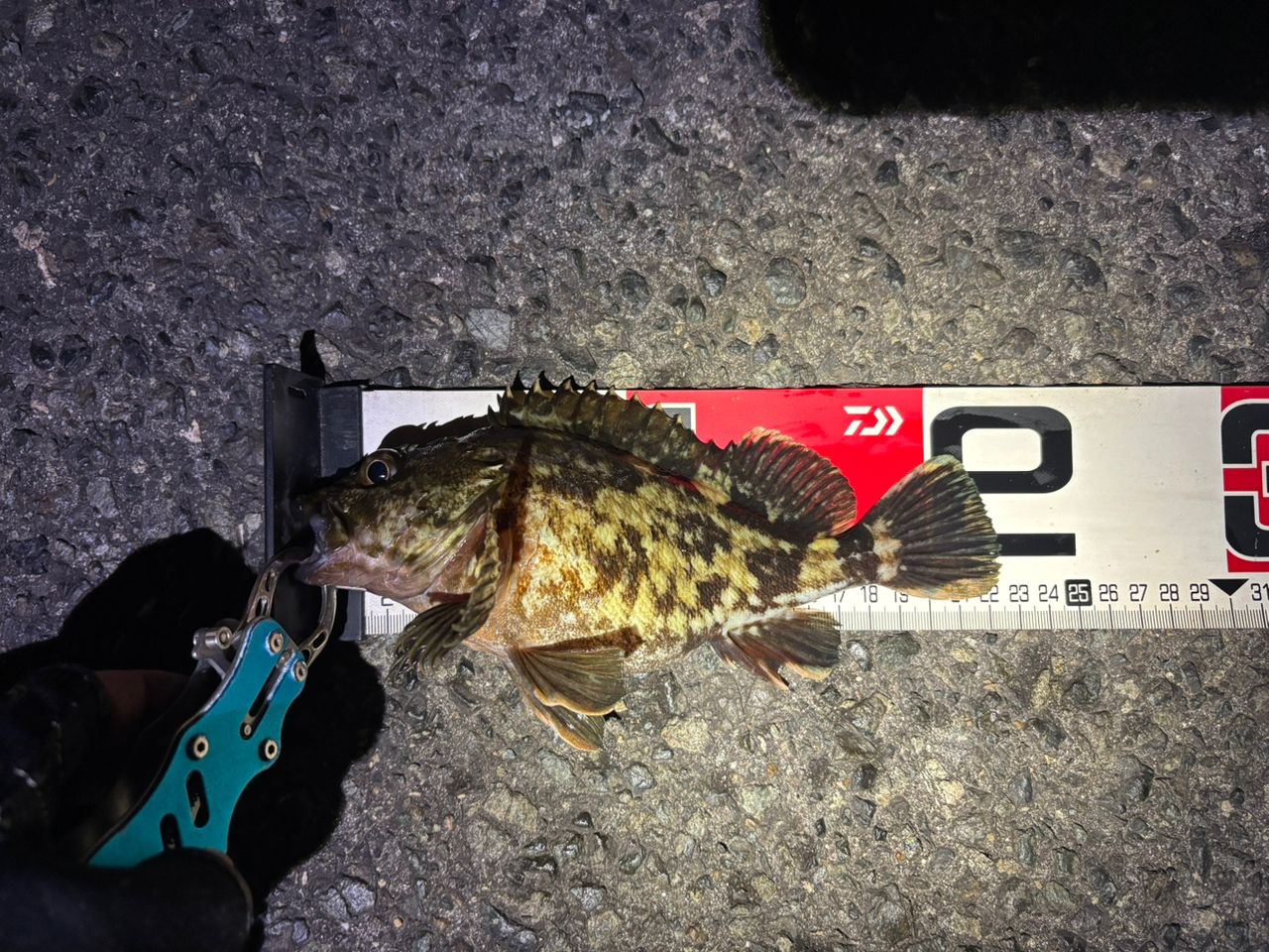 Megabass 20礁楽 SL-76LSの最安値・インプレ・釣果 | 本音の口コミが