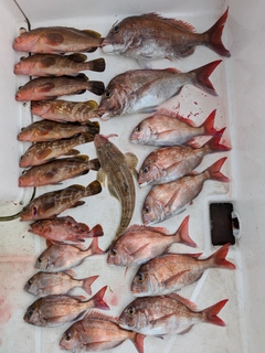 釣果