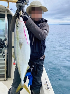 ブリの釣果