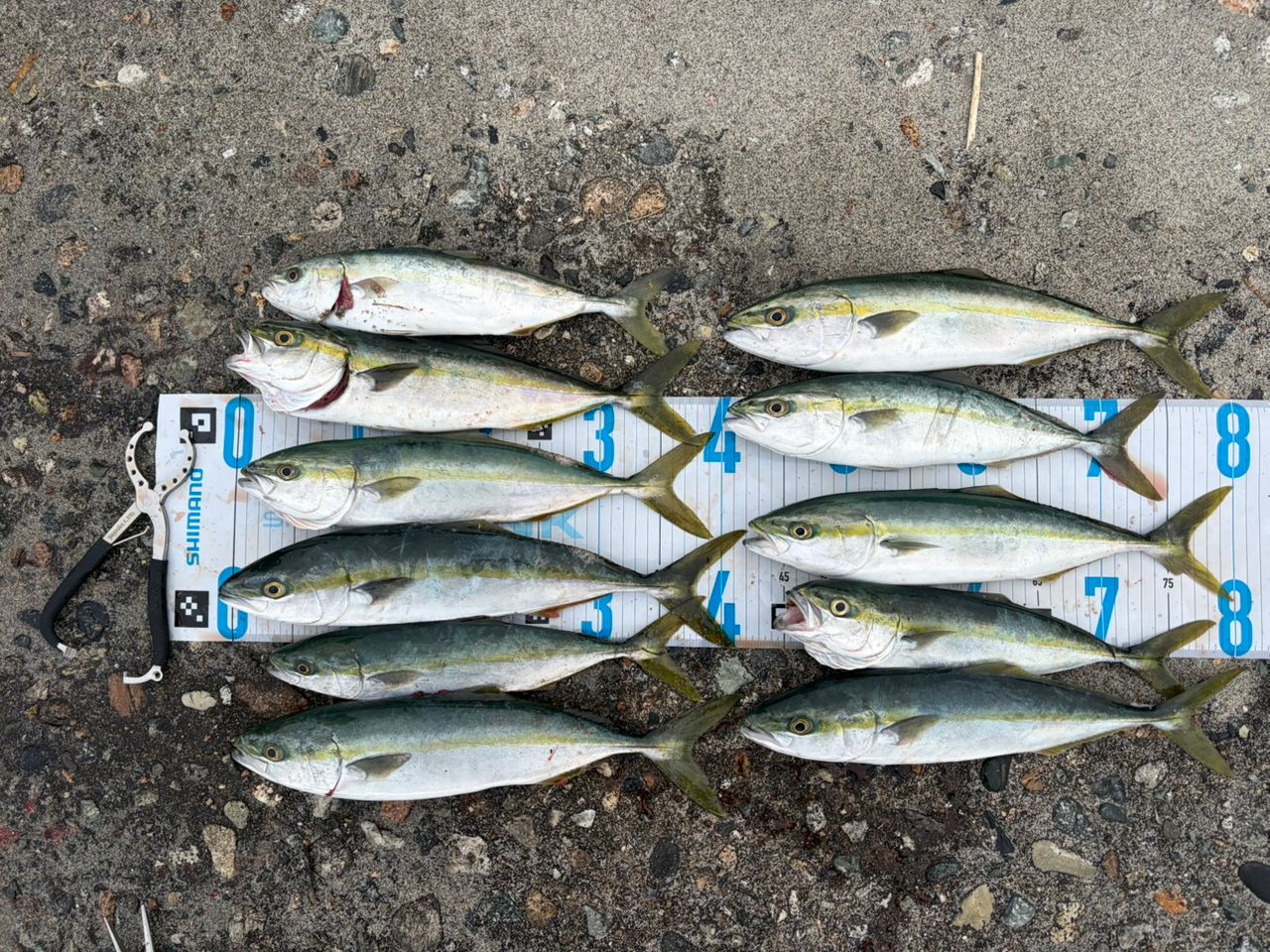 SHIMANO 20コルトスナイパー XR S106MH/PSの最安値・インプレ・釣果