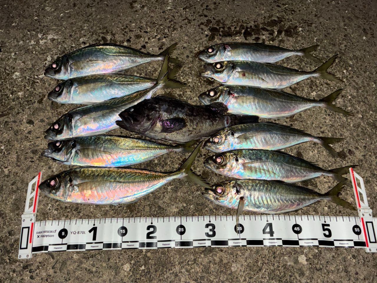 SHIMANO 23ソアレ BB アジング S64UL-Sの最安値・インプレ・釣果