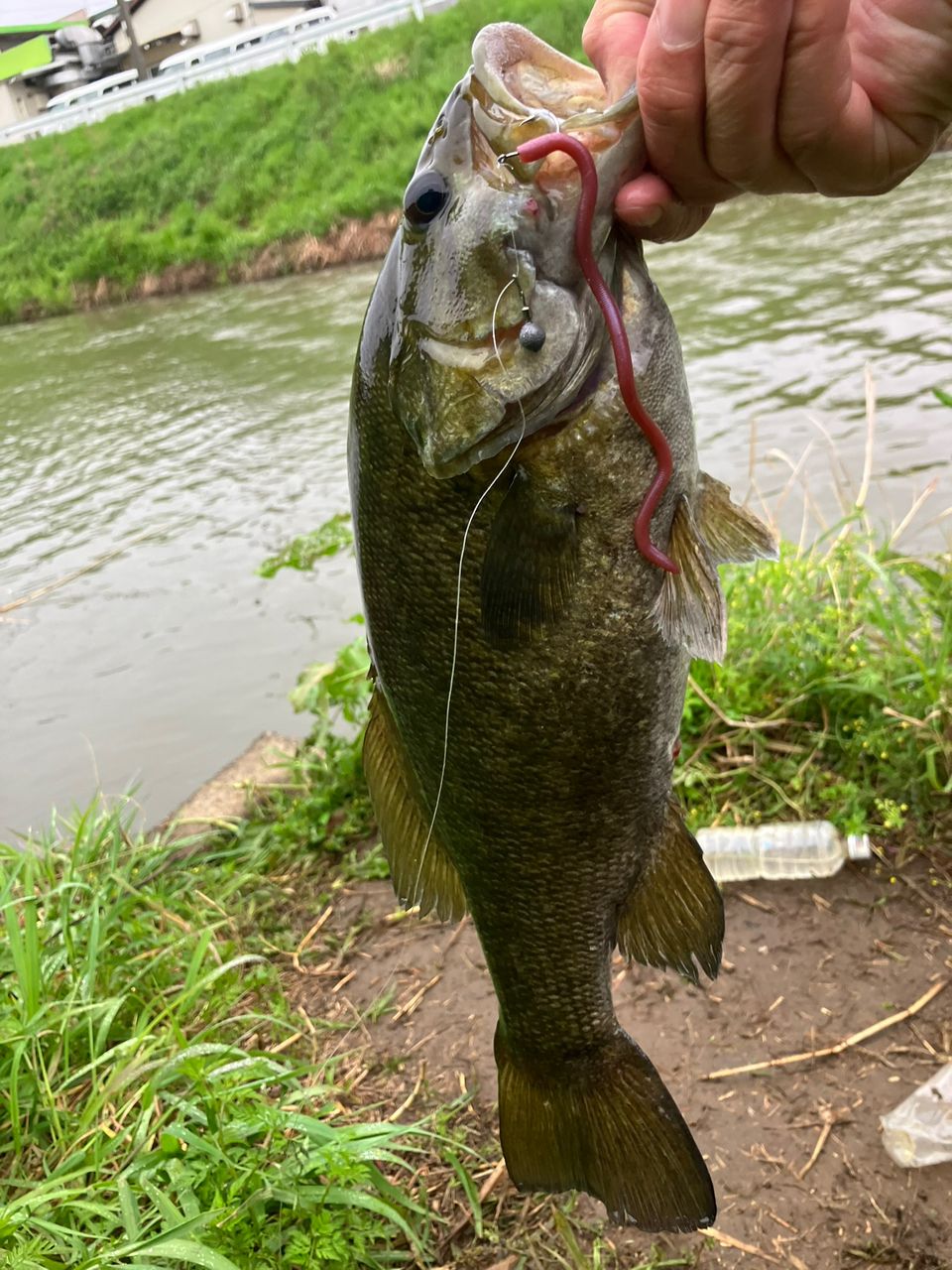 DAIWA 20リベリオン（センターカット2ピース スピニングモデル） 682ML