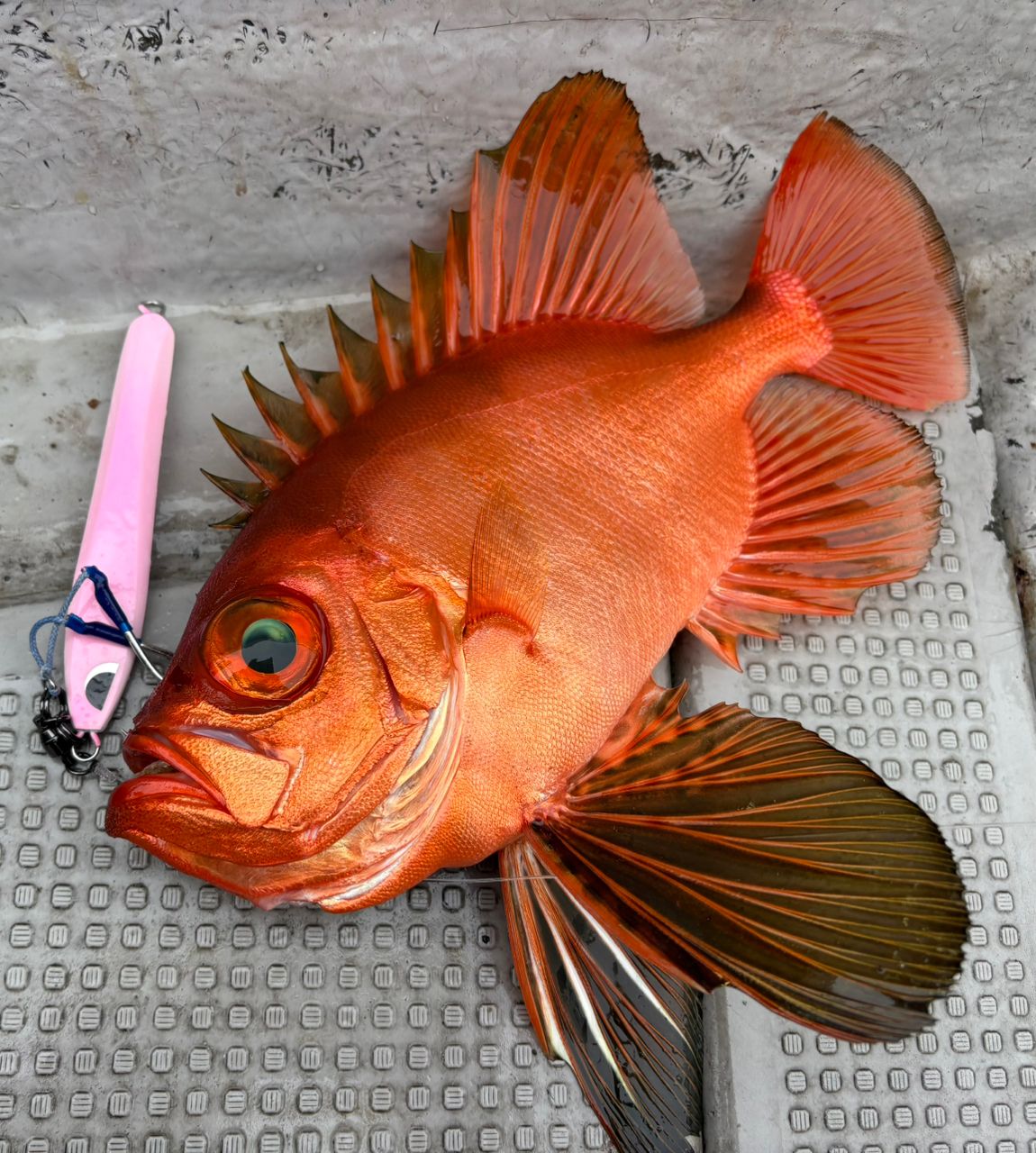 SHIMANO 18オシアジガー ∞ (インフィニティ) モーティブ B610-2+の最