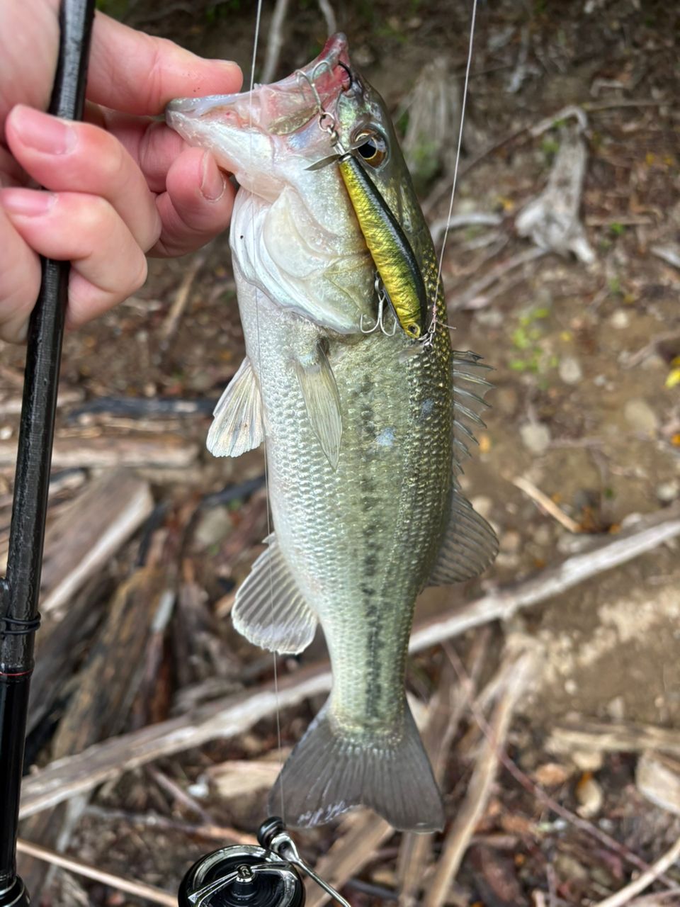 SHIMANO 18ポイズン アドレナ 266L-2の最安値・インプレ・釣果 | 本音