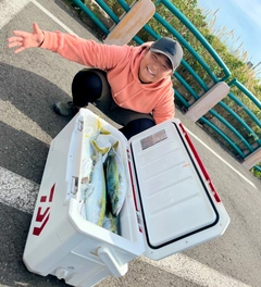 フクラギの釣果