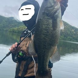 ブラックバスの釣果写真
