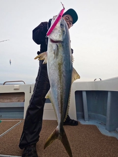 ヒラマサの釣果