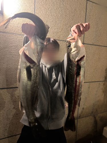 釣果