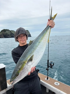 ブリの釣果
