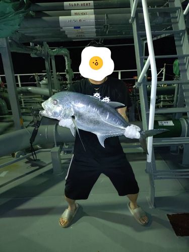 GTの釣果