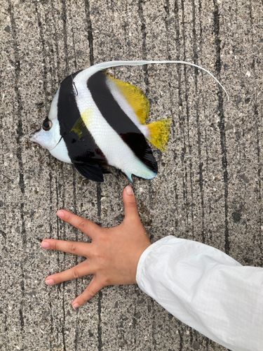 釣果