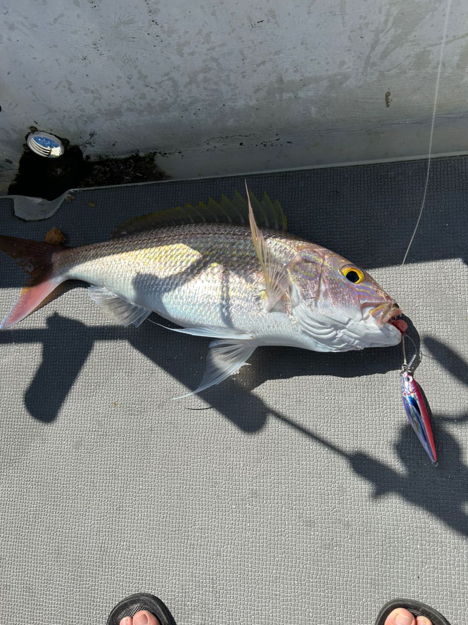 【シマノ】19オシアジガーインフィニティ B65-1 SHIMANO 19オシアジガー ∞ (インフィニティ) B65-0の最安値・インプレ