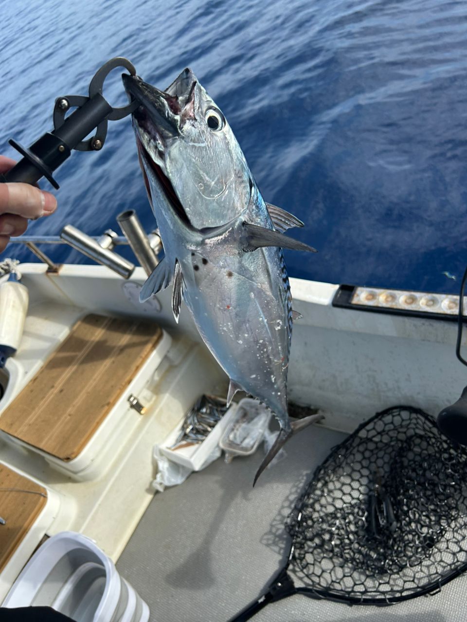 SHIMANO 19オシアジガー ∞ (インフィニティ) B63-5の最安値・インプレ