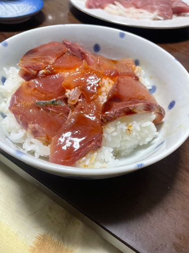 ワラサの釣果