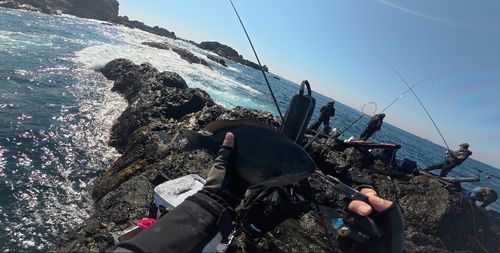 クチブトグレの釣果