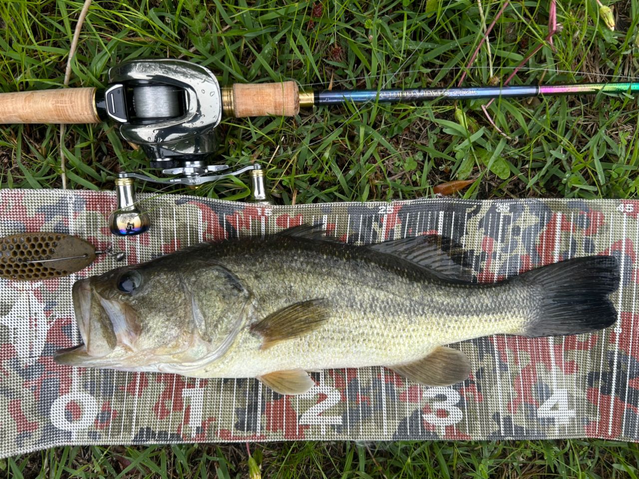 SHIMANO 23ワールドシャウラ リミテッド 1652R-3の最安値・インプレ