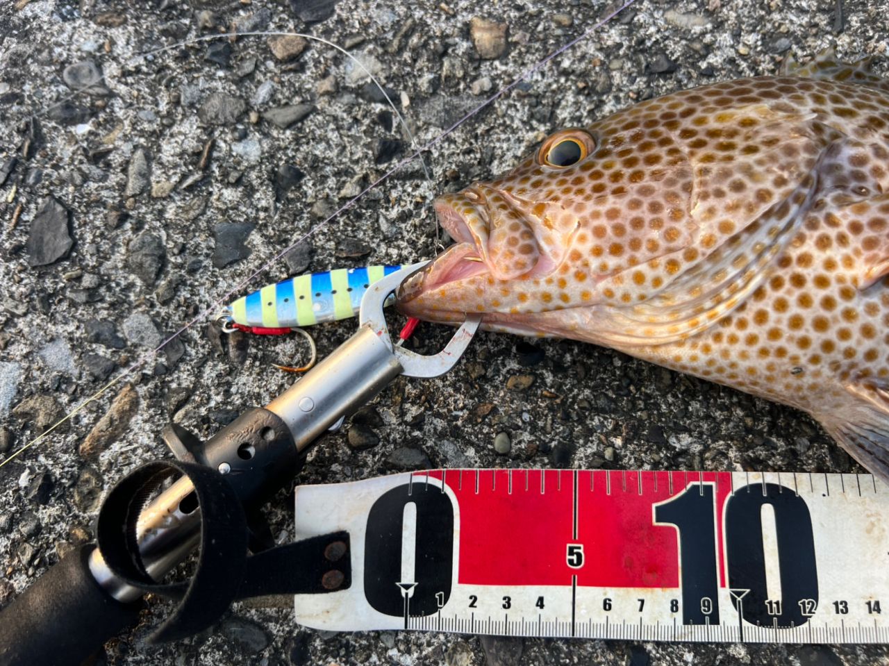 SHIMANO 19コルトスナイパー SS S106MHの最安値・インプレ・釣果