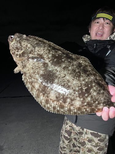 ヒラメの釣果