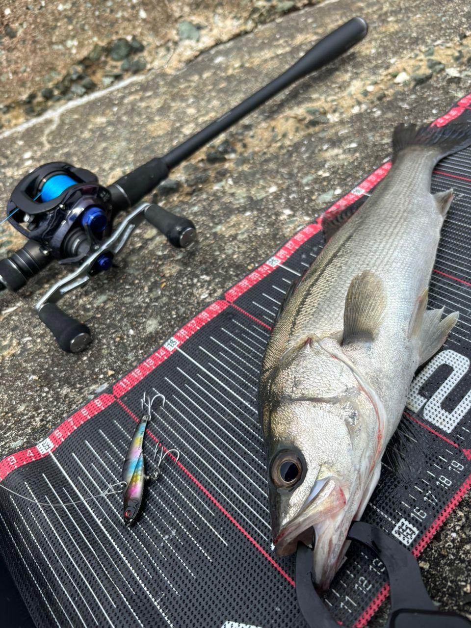 SHIMANO 23ディアルーナ B96MLの最安値・インプレ・釣果 | 本音の