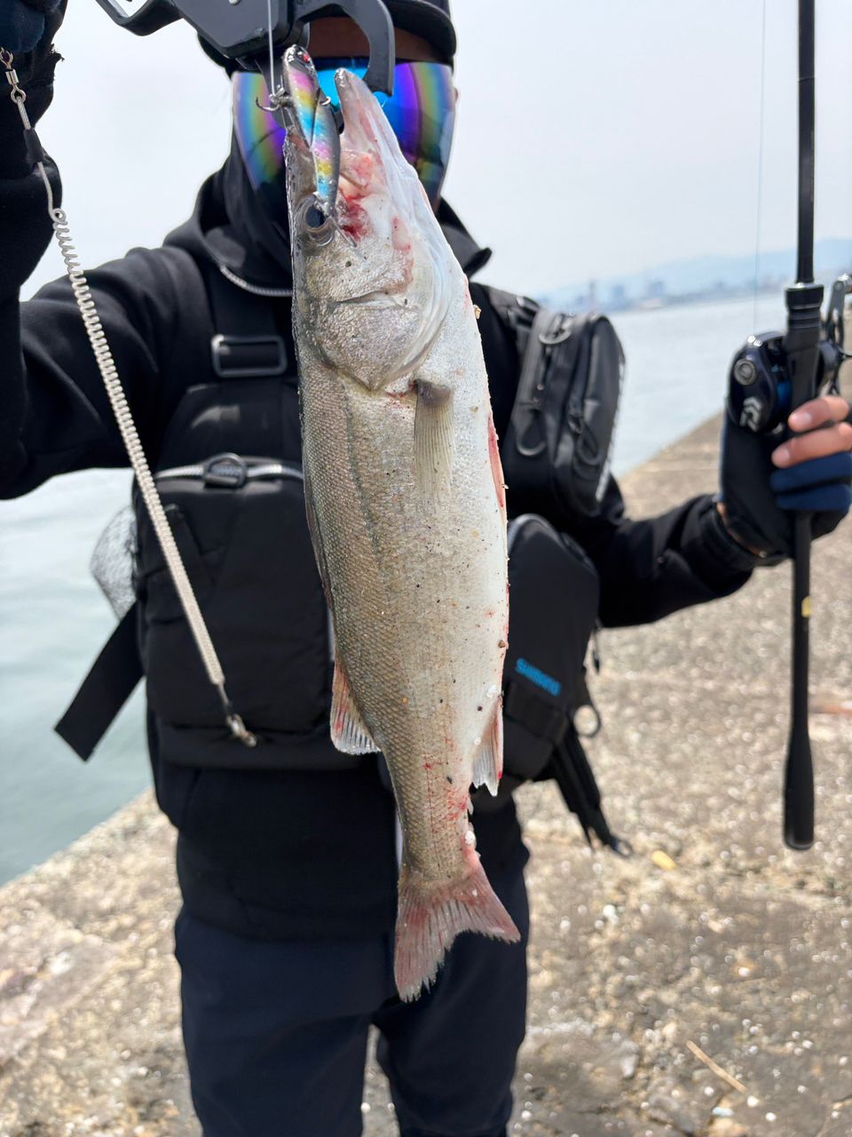 SHIMANO 23ディアルーナ B96MLの最安値・インプレ・釣果 | 本音の
