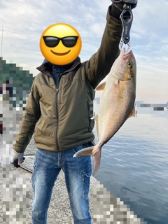 ネイリの釣果
