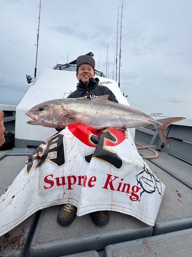 カンパチの釣果