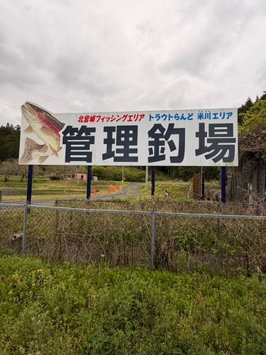 レインボートラウトの釣果