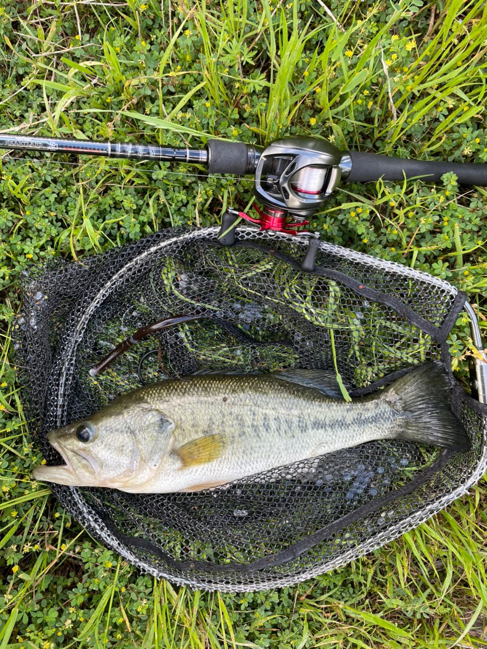 DAIWA 18ハートランド 722ML+FB-ST20の最安値・インプレ・釣果 | 本音