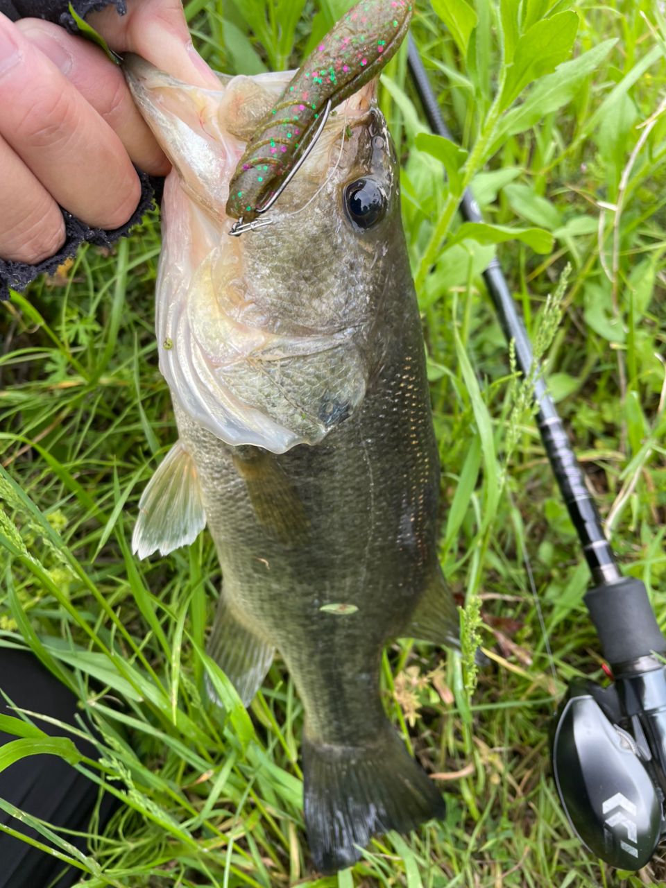 DAIWA 18ハートランド 722ML+FB-ST20の最安値・インプレ・釣果 | 本音