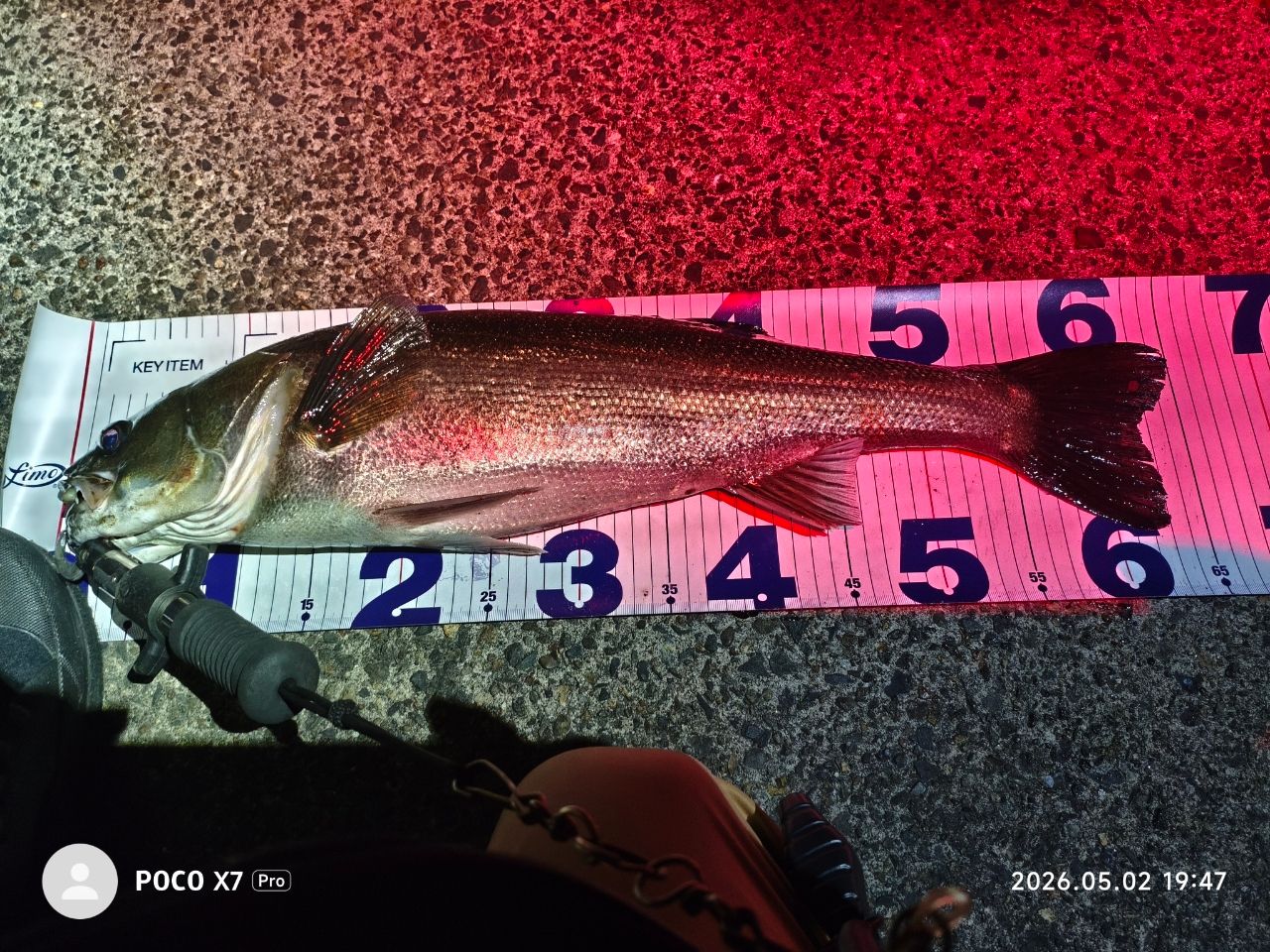 DAIWA 20ラテオ モバイル 86ML-4の最安値・インプレ・釣果 | 本音の