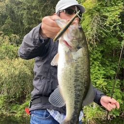 ブラックバスの釣果写真