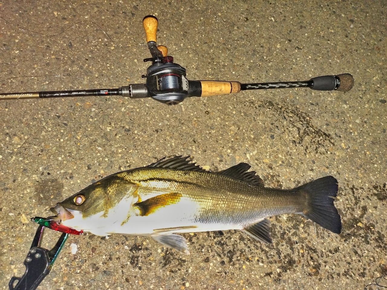 AbuGarcia ソルティーステージ・KR-X・ベイトフィネスカスタム SBFC