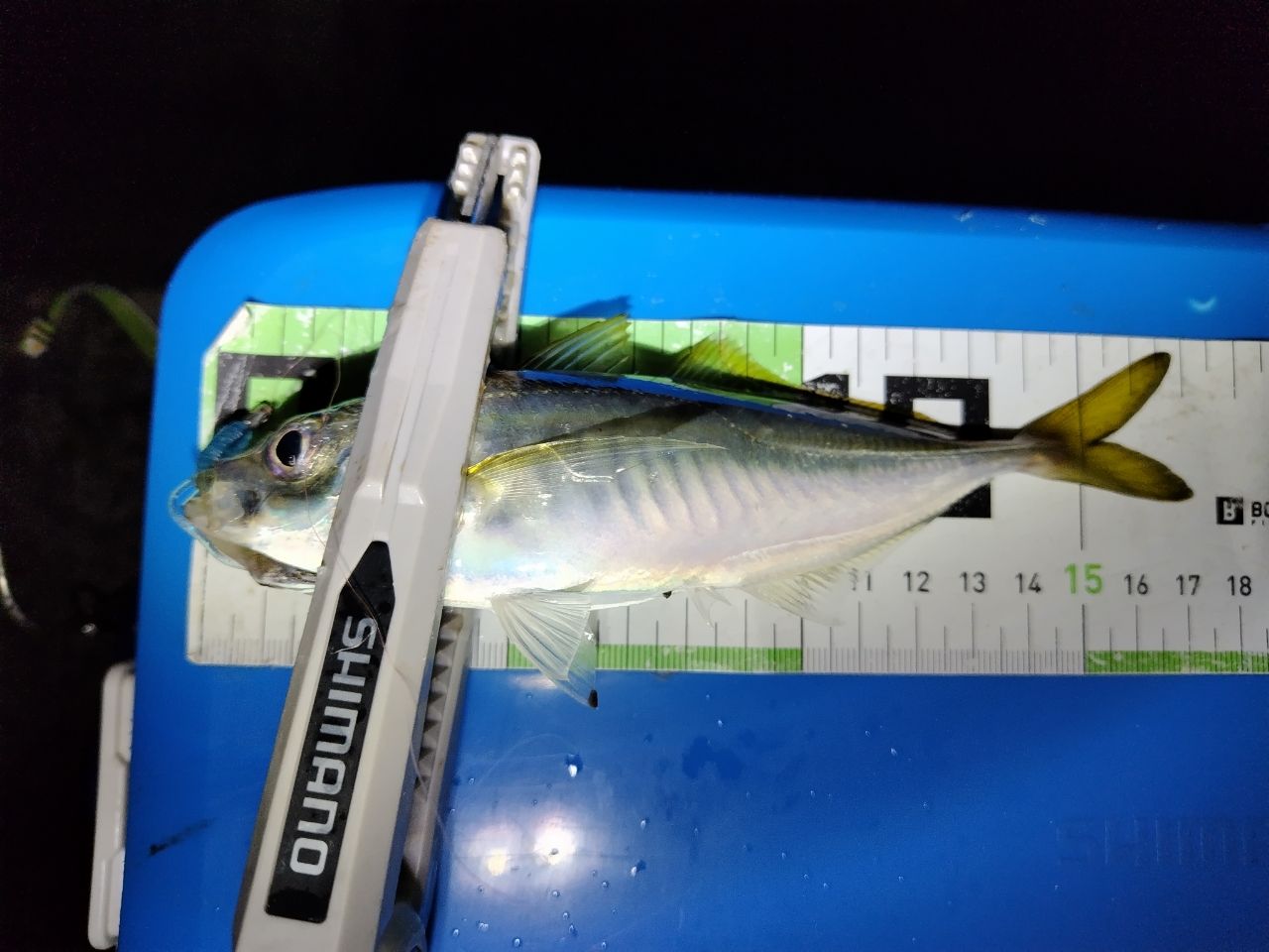 SHIMANO 20ソアレ エクスチューン S58SUL-Sの最安値・インプレ・釣果