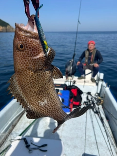 オオモンハタの釣果