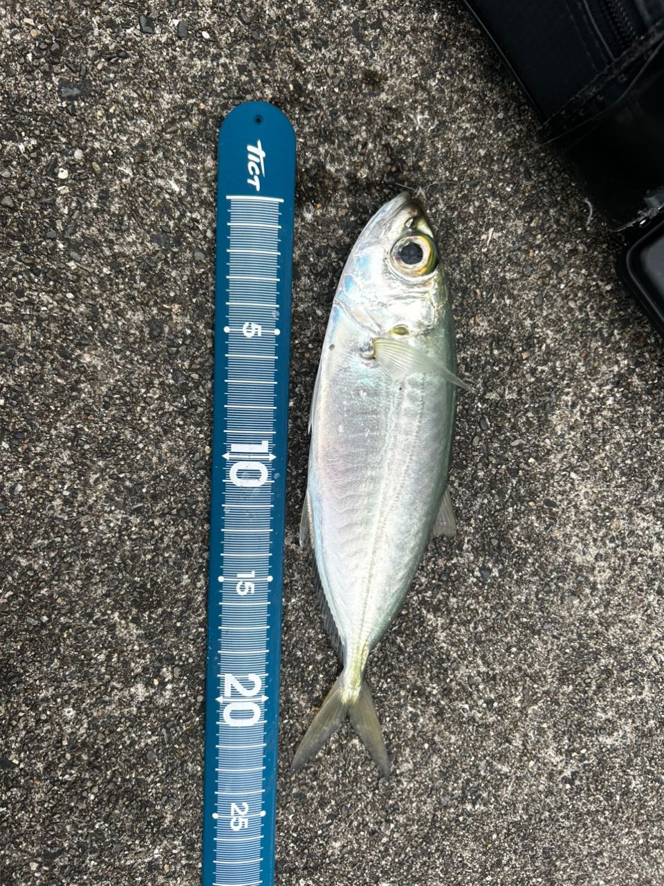 SHIMANO 23ソアレ BB アジング S54SUL-Sの最安値・インプレ・釣果