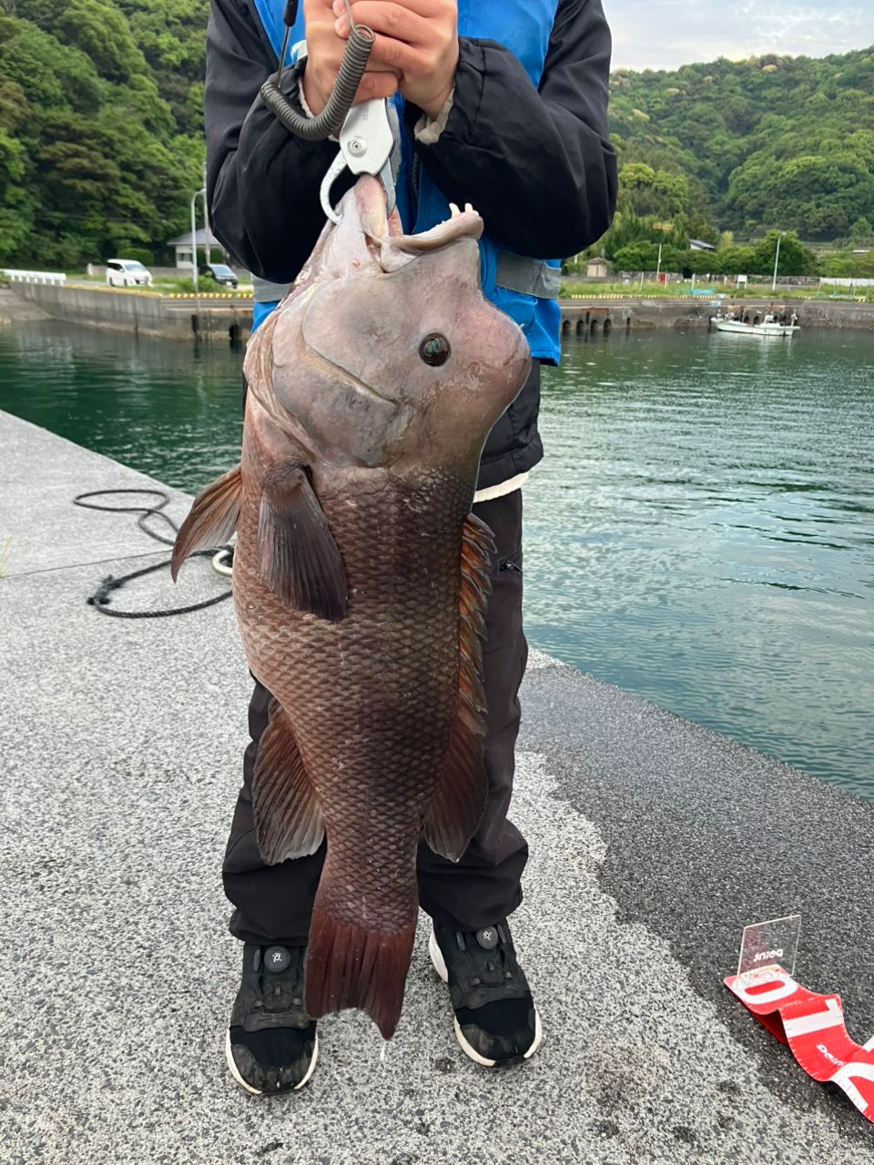 PRO MARINE 銀竜イカダ 180の最安値・インプレ・釣果 | 本音の口コミが