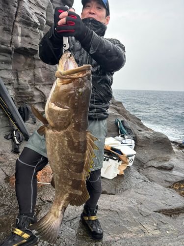 クエの釣果