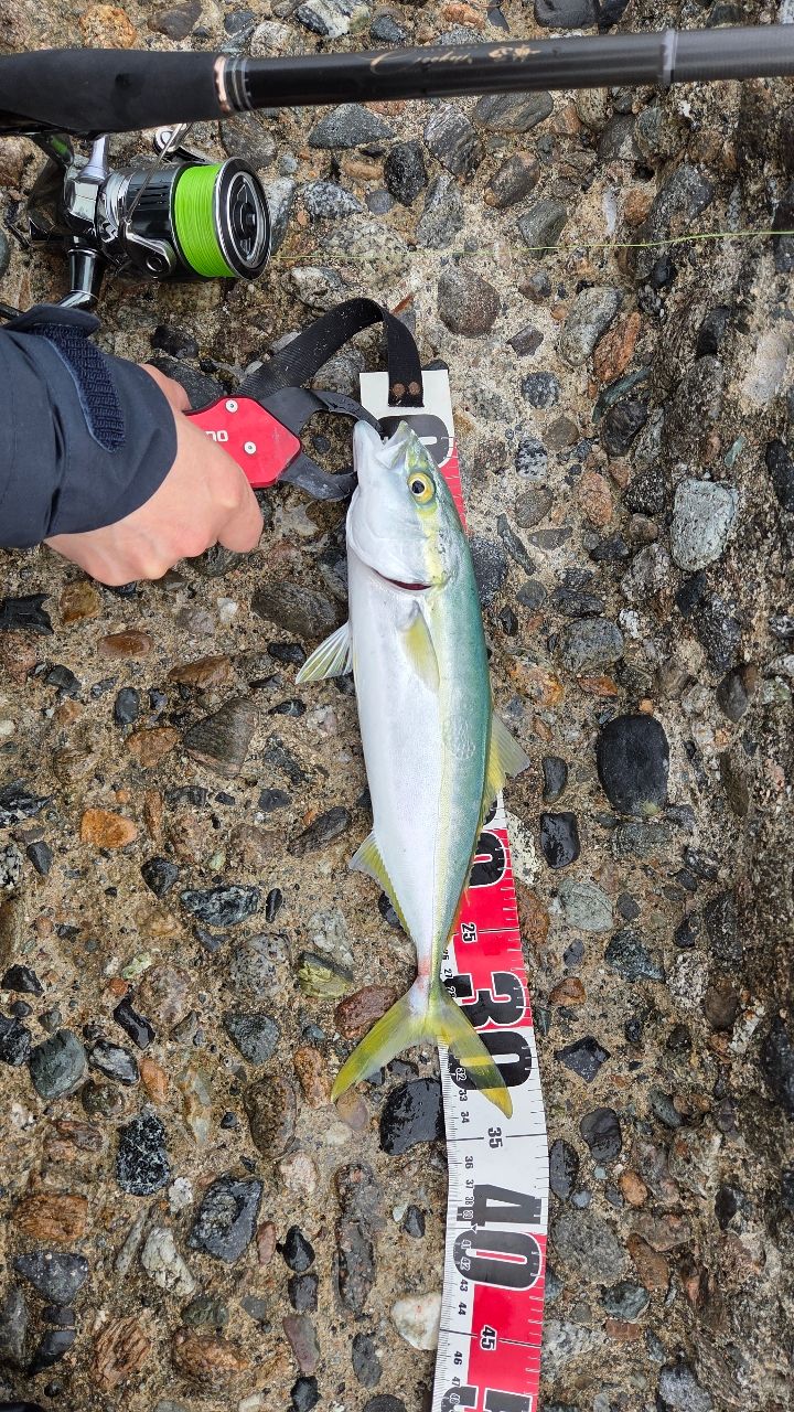 Megabass 空海 CK-108MHSの最安値・インプレ・釣果 | 本音の口コミが