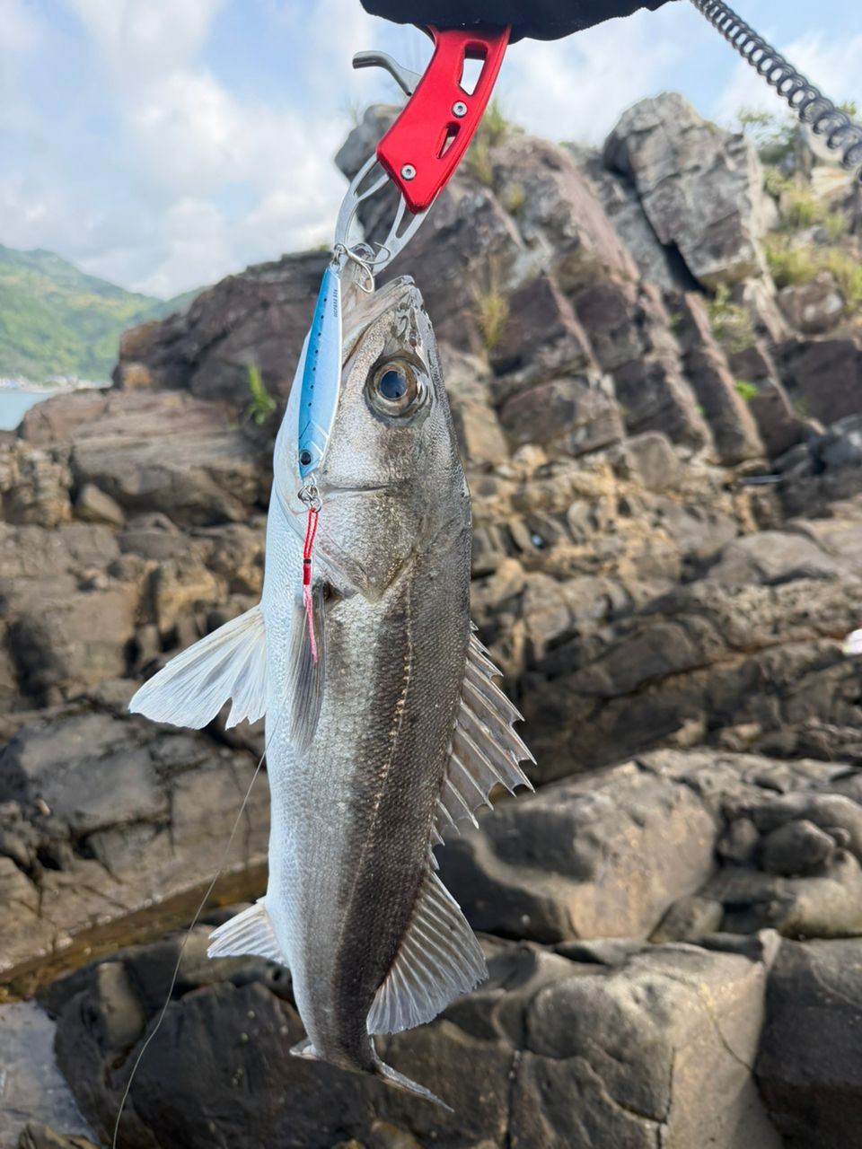 SHIMANO 19コルトスナイパー SS S100MHの最安値・インプレ・釣果