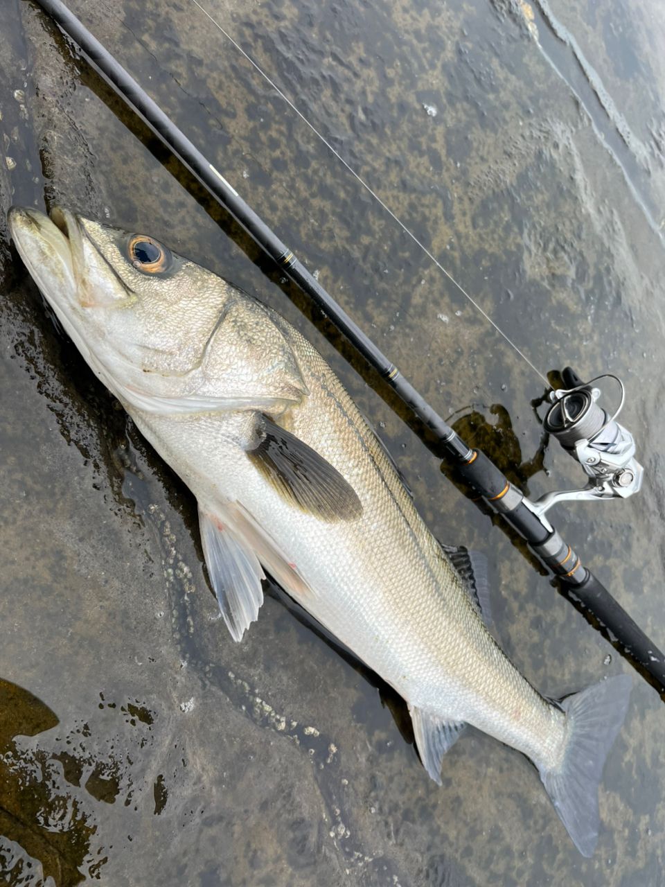 AbuGarcia ソルティースタイルライトショアジギング STLS-962M40-KRの