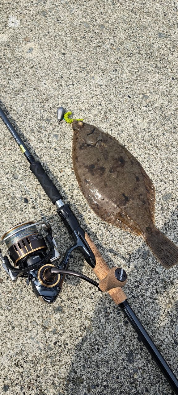 DAIWA 23ファントム リベラリスト 863ML+RSSの最安値・インプレ・釣果